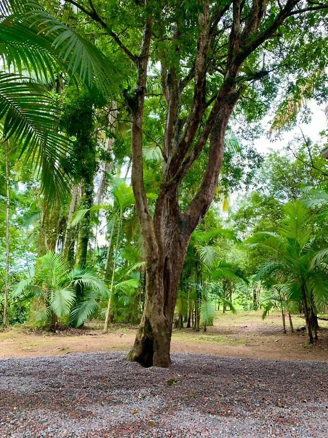 Sítio Fluss Ecke Vila Benedito Novo Brasil